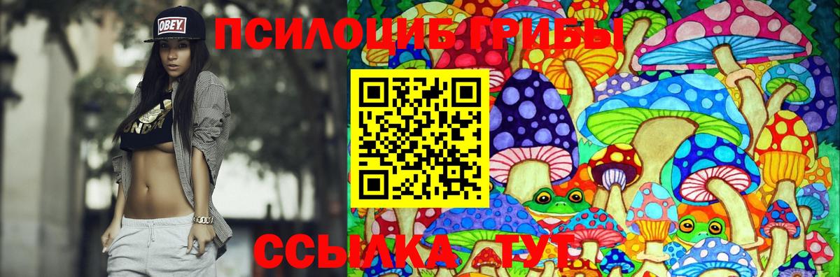 Галлюциногенные грибы MAGIC MUSHROOMS Хабаровск