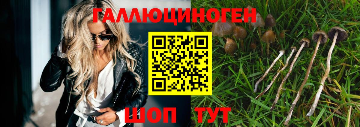 как найти закладки  Галлюциногенные грибы Cubensis  Галлюциногенные грибы прущие грибы  Вход с VPN  Хабаровск 